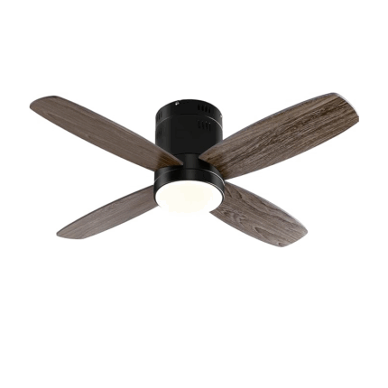 Wahson Ceiling Fan With Lights