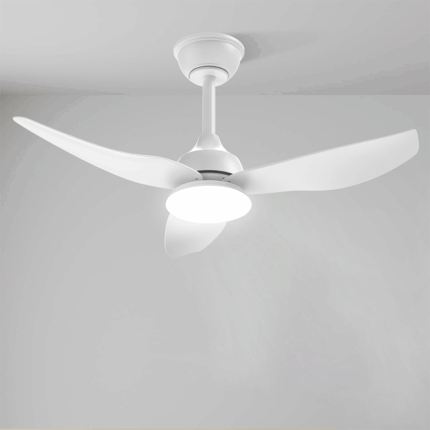 Wahson 36 Inch Ceiling Fan With LED Light